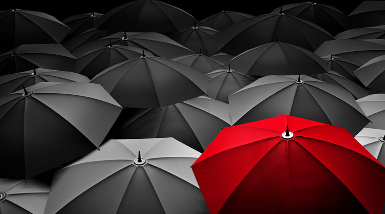 Enhancing Financial Security Through Behavioral Biometrics